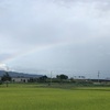 虹🌈 