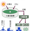 ＩＨＩ、藻から航空機燃料量産　価格10分の１に