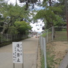 奈良市　興福寺　周辺（東側です）