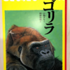 ゴリラ【こどものとも 2021年11月号】