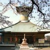 新四国曼荼羅霊場  桜 　第30番 萩生寺　( 2011-04-10 )　７　