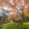 京都随一!?宝厳院の紅葉～嵐山の景観と禅の心を感じる庭園～