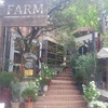 ガーデニング好きに楽しいお店【SOLSO FARM】川崎