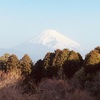 今朝の景色