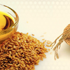 Rice Bran Oil Market – Industry Trends, Investment Guide, Manufacturing Requirement and Opportunities