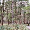 なつかしの信州旅（44）：「穂高連峰」を仰ぎながら歩く（長野県松本市）