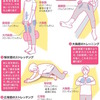 運動と食事、健康長寿のかぎ