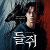 Netflix韓国ドラマ『なりすましの鼠』あらすじとレビュー／現代デジタル社会における実存的恐怖とアイデンティティの簒奪（さんだつ）