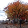 太平山の紅葉