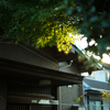 8月　Vol.3