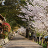 京都府