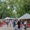 おっさん、夏の京都の古本市に足を運ぶ