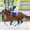 金沢競馬 第31回金沢スプリングC ファストフラッシュ