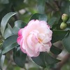 チと気が早くないか？ン？