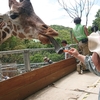 【日本一自由な動物園！？】香川県のしろとり動物園に行ってきた話 / 過去史上最高に楽しんだ