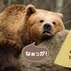 石の上にも3年や継続は力なりって本当か？悶々とするわぁ～