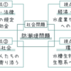 総合政策学部ってどんなことするの？＊はな