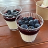 ブルーベリースイーツが人気のカフェ　MAKO こみちのケーキ屋さん（愛知県豊田市）
