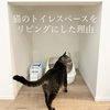 猫のトイレをリビングにした理由