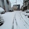 高知やに大雪！