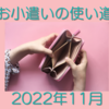 共働き主婦のお小遣い使い道　2022年11月 遊びに学びに充実した使い方が出来ました