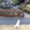 宮崎中央公園をジュン散歩