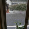 今年度初雪でしょうか！？