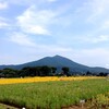 筑波山に登りたい