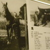 映画『馬』