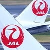 JAL、8月にハワイー羽田間に4本の臨時便を運航！！