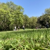 秋ヶ瀬公園お散歩トレーニング。