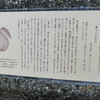 万葉歌碑を訪ねて（その４９８）―奈良市神功4丁目　万葉の小径（３４）―万葉集　巻十　二一八九
