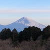 今朝の景色