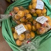 梅干し用の完熟梅が追加購入できた幸せ