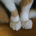 あと何年生きられるか知らないけれど
