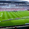 株主優待でＪリーグ観戦！たった1株でもOK？いちご株式会社(2337)の魅力的な株主優待とは？