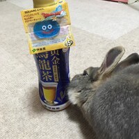 tinayakumontanの動物ブログアンテナ