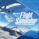 【Microsoft Flight Simulator】廃材を組み合わせたモンスター飛行機【フリーアドオン】