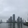 隅田川テラス8キロ：嵐の前の静かなテラス