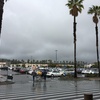 カリフォルニアは今日も雨だった…