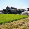 地図子、日野用水下堰を歩く
