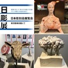 第52回 日本彫刻会展覧会