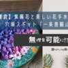 【鎌倉】紫陽花と美しい花手水が楽しめる穴場スポット「一条恵観山荘 」