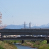 街をあるけば「伏見川」桜満開