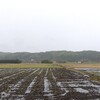 豪雨。