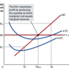 Profit Maximization (利潤最大化)