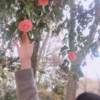 ✶ 女性は花