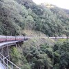 【オーストラリア】迫力の滝と熱帯雨林の景観が魅力　キュランダ観光鉄道の旅 〔キュランダ～ケアンズ/キュランダ観光鉄道〕（2024年）