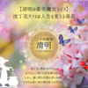 二十四節気 ４月４日より清明、マジカルハーブは沈丁花（ダフネ）、魔性のオンナ峰不二子の魔法🌸