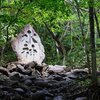 登山中にゲリラ豪雨に降られたお話｜泉ヶ岳（宮城県仙台市）